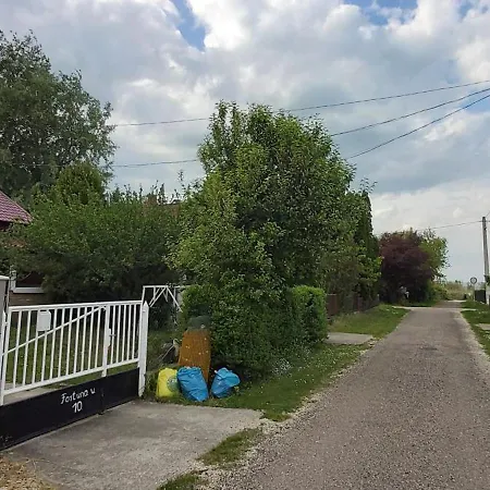 Guest house Vidra Apartman-