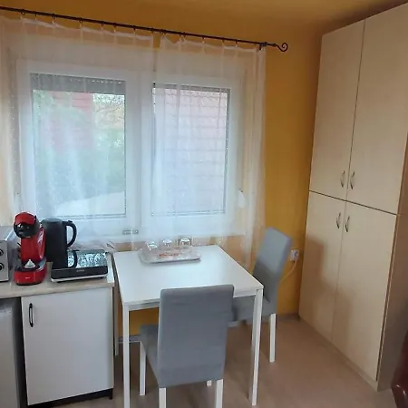 Guest house Vidra Apartman- *
