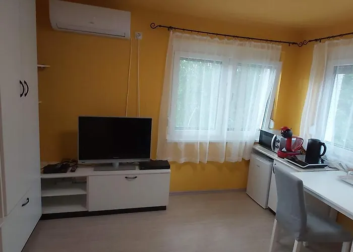 Pensjonat Vidra - 60 Meters From Balaton! Zamárdi