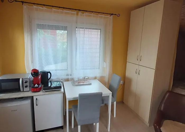 Pensjonat Vidra - 60 Meters From Balaton! *